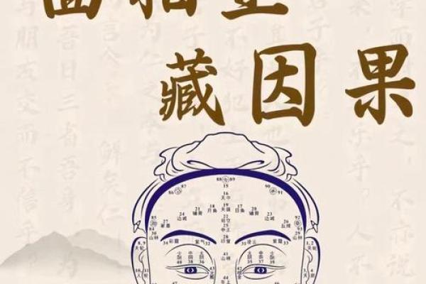甲字面相揭秘：揭秘成功人士的神秘面纱