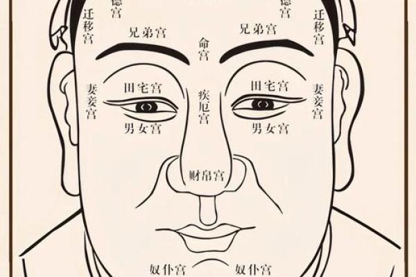 甲字面相揭秘：揭秘成功人士的神秘面纱