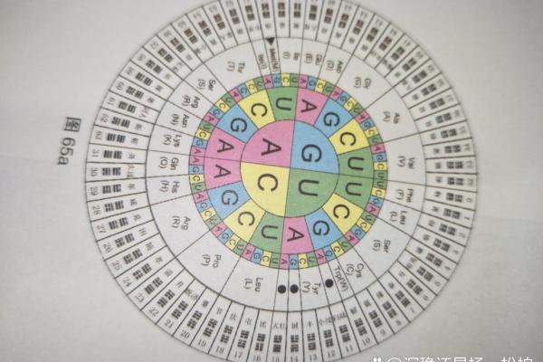 八字天干地支入门指南，轻松学会看命运