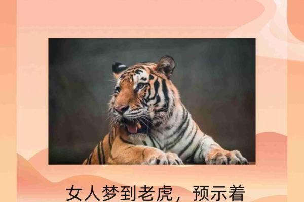 揭秘：老虎骨面相秘术，一眼看穿命运起伏