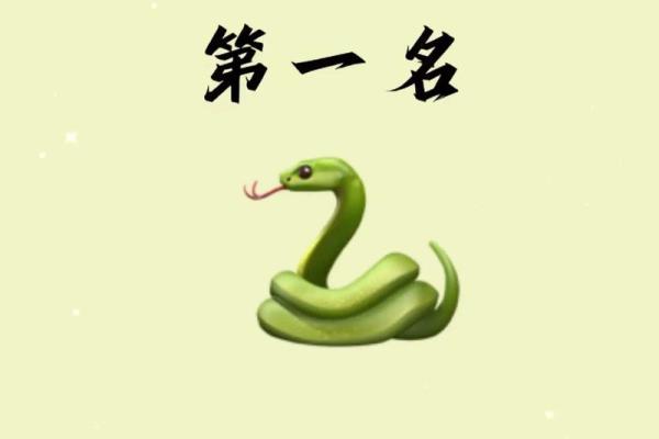 蛇年运势揭秘：2020生肖蛇必看好运指南
