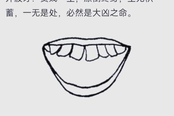 揭秘面相密码：一眼识破命运，你的面相藏着哪些惊人秘密？