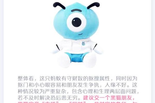 揭秘面相密码：一眼识破命运，你的面相藏着哪些惊人秘密？