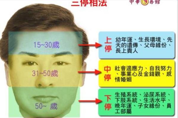 揭秘林真面相：掌握运势密码，解锁成功之门
