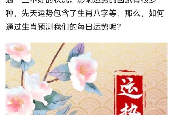 八字每日运势揭秘：今天你的运气如何？