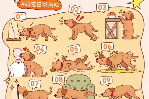 狗狗眼中的命运：它们如何精准识别人生轨迹？
