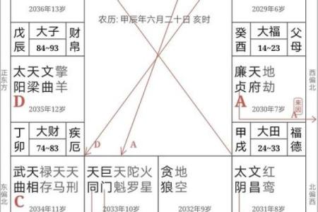 紫微流月排盘解析：如何通过星盘看清未来走势