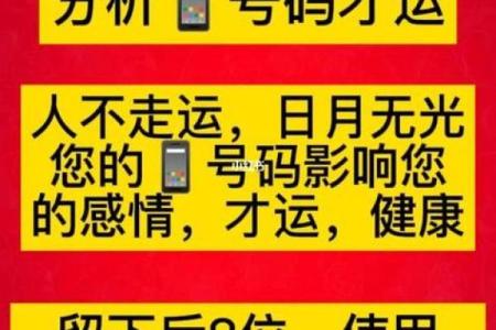 名字数字命理如何影响事业和财富运？