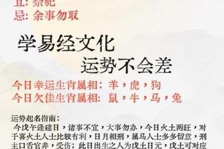 属马人的五行命理揭秘：揭秘你的五行属性与运势速来一探究竟