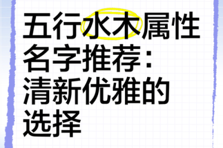 木水木起名解析：如何打造个性与福气兼备的名字