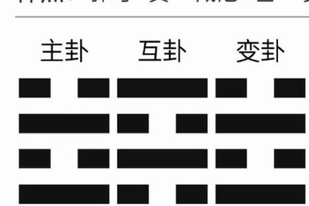 梅花易数排盘技巧揭秘，如何准确解读个人命运