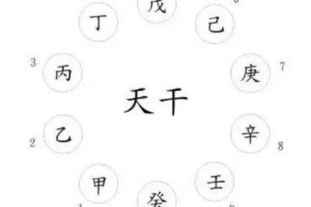 揭秘戊命：究竟意味着什么？