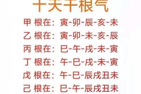 天干气与五行的神奇联系，揭开古代智慧的面纱