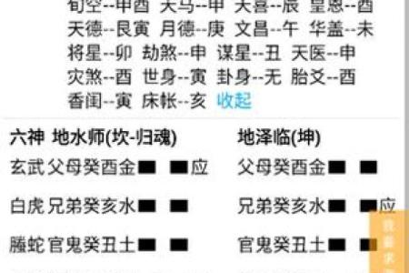 专业六爻在线排盘，轻松分析人生运势与发展潜力