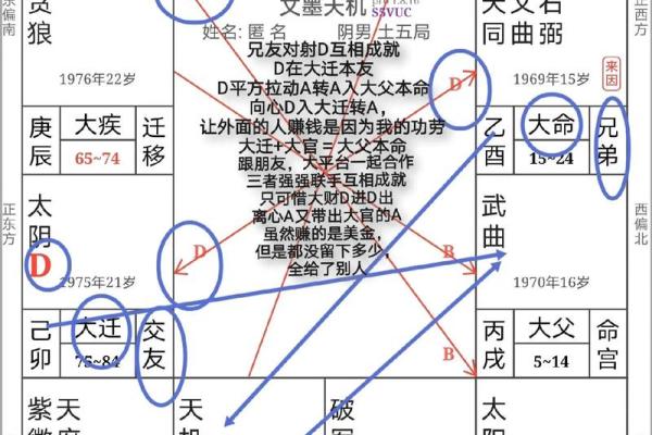 周易紫微斗数APP，让你轻松了解命理，改变人生方向