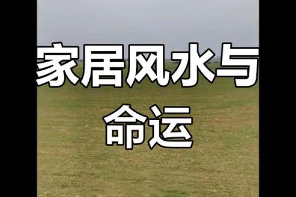 揭秘风水之谜：家居风水如何左右你的运势与幸福？狂刷爆款的真相大揭秘