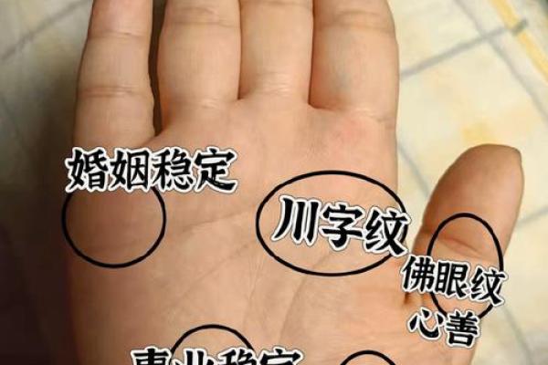 手面相揭秘：读懂命运，掌握人生