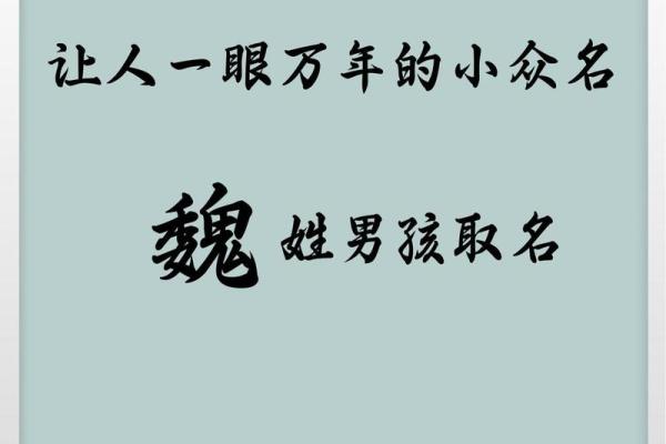 专家推荐魏姓宝宝取名技巧，助你选择最有寓意的名字