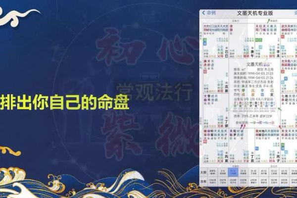 深入紫薇排盘解盘，透视你的命运密码