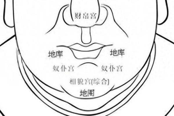 揭秘：老态面相中的财运密码，一眼看穿富贵命格