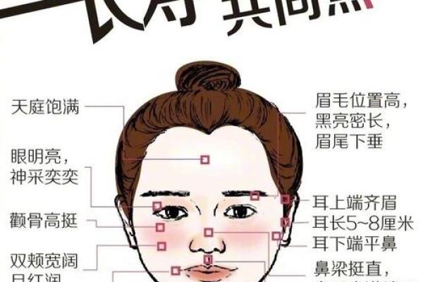 面相解码：一眼洞察你的健康与命运