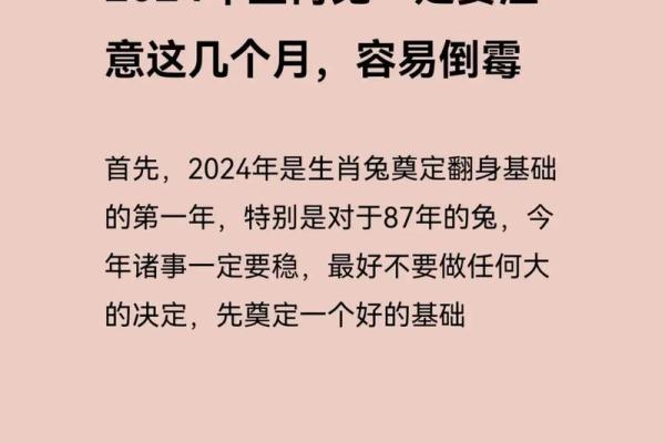 1978年运势揭秘：揭秘属兔人的独特命格魅力