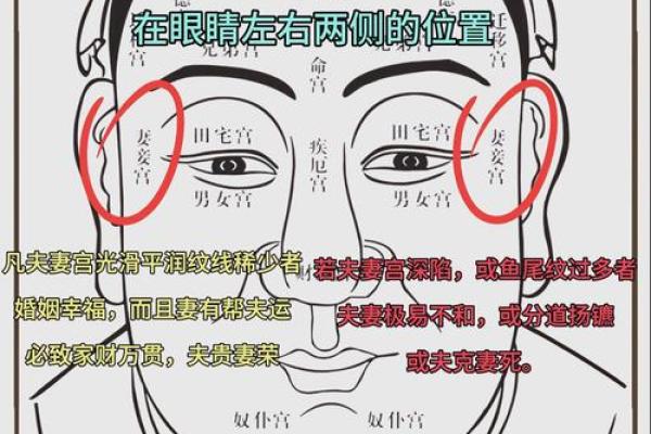 揭秘面相：一眼看穿命运与性格的秘密