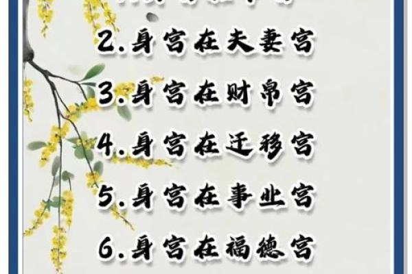 面相揭秘：揭秘女性命运的秘密，一眼看透她的命运轨迹