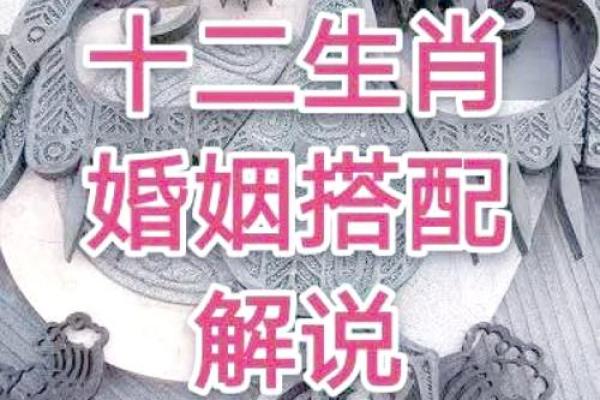 宝宝属相配对宝典，找对你命中的最佳伴侣