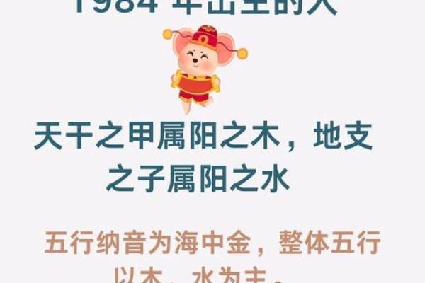 属鼠人的五行运势大揭秘