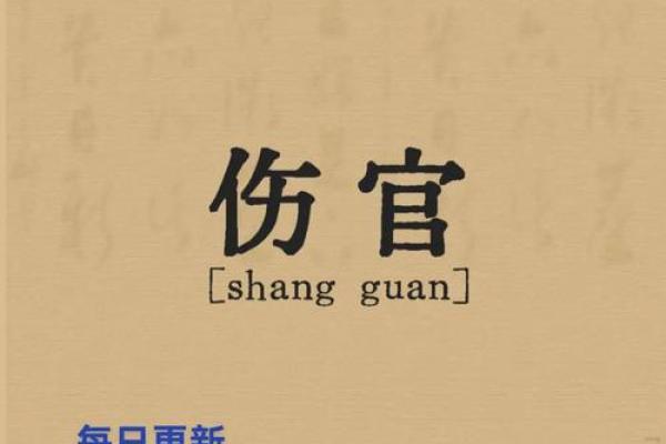 天干伤官透出，命理大师如何解读