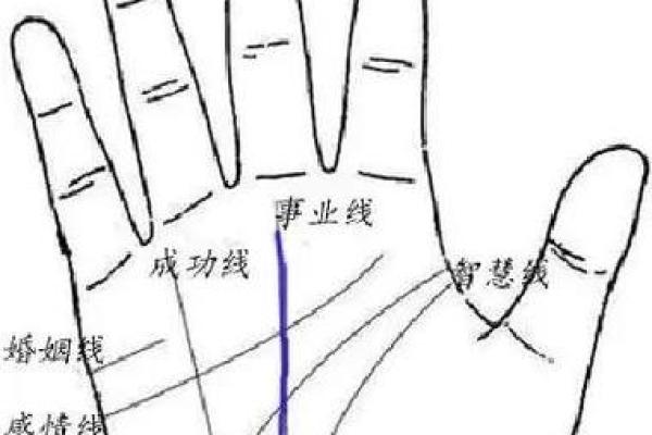 揭秘手相奥秘：生命线预测准到让你惊叹