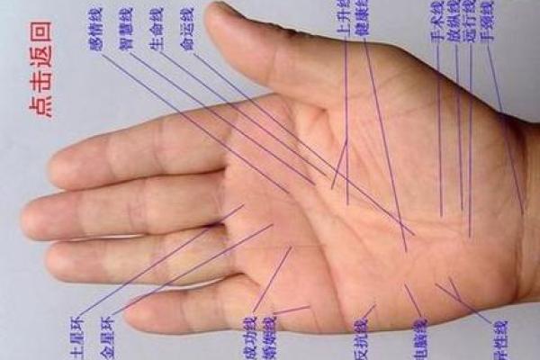 揭秘手相奥秘：生命线预测准到让你惊叹