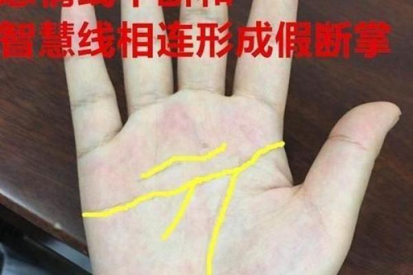 李居明揭秘：离婚手相背后的惊人秘密