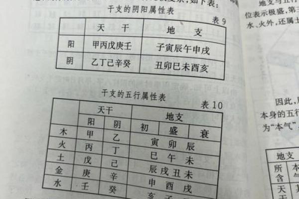 果实背后的天干之谜：解密传统命理学的深层含义