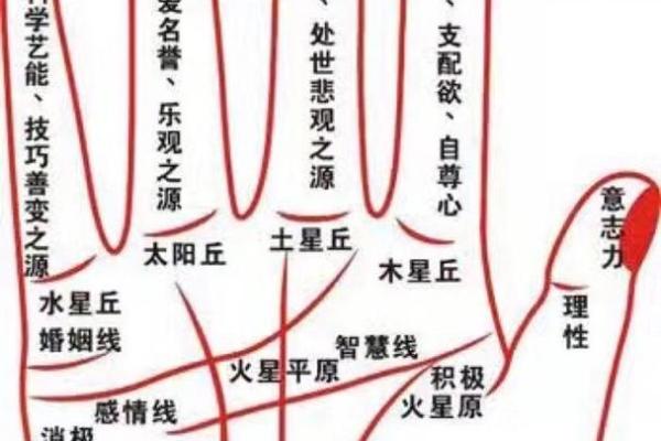 揭秘手相桃花秘密：掌握运势，爱情运程一触即发
