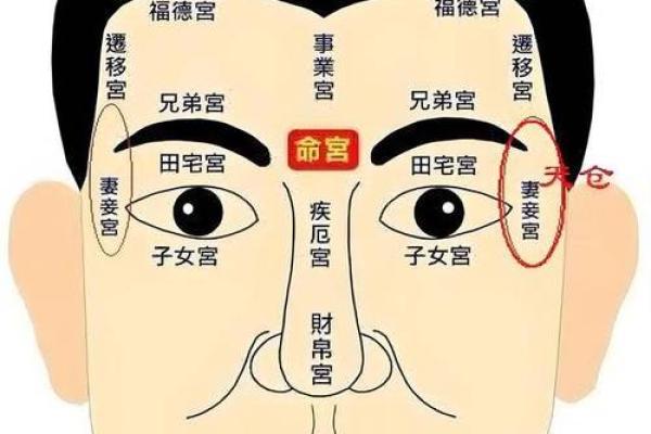 揭秘鼻子损伤面相：财运起伏，运势波动，你了解多少？