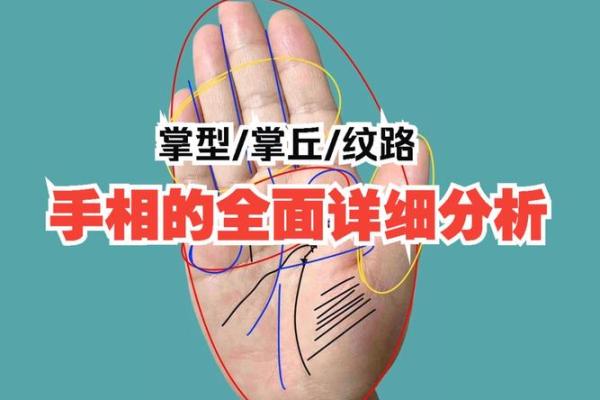 揭秘手相奥秘：全面解析各纹路，让你轻松读懂命运与运势