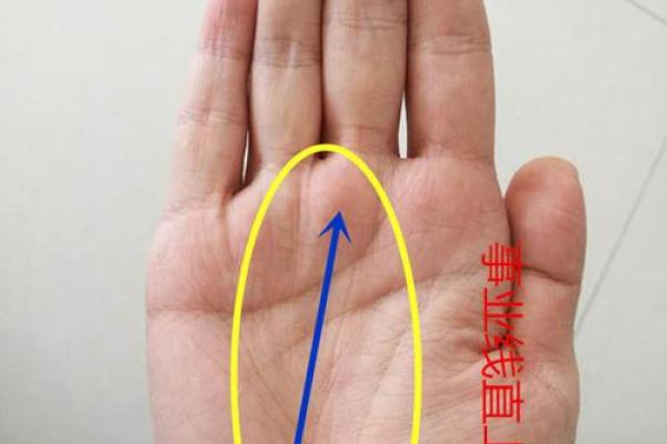 手相事业线：揭秘命运轨迹，掌握事业巅峰的秘密