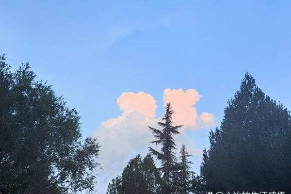 揭秘：命里的贵究竟是什么，让你的人生从此转运