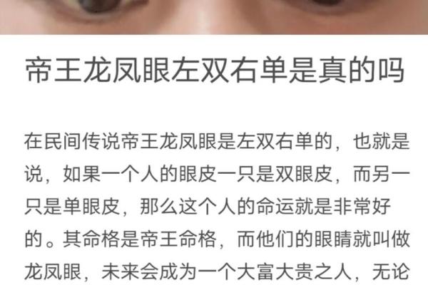 揭秘面相奥秘：谁是真正的龙眼面相达人？