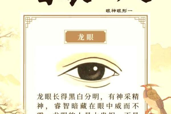 揭秘面相奥秘：谁是真正的龙眼面相达人？