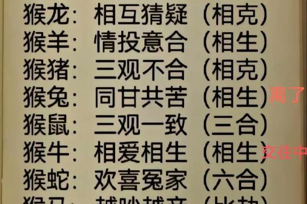 兔猴配对：天生一对的缘分揭秘