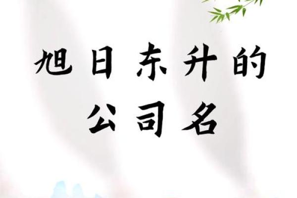 运输公司起名技巧，轻松吸引客户眼球