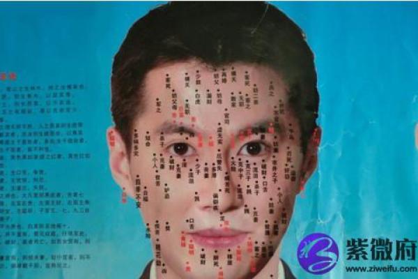 男性面部痣相全解密：高清图解揭秘神秘面相
