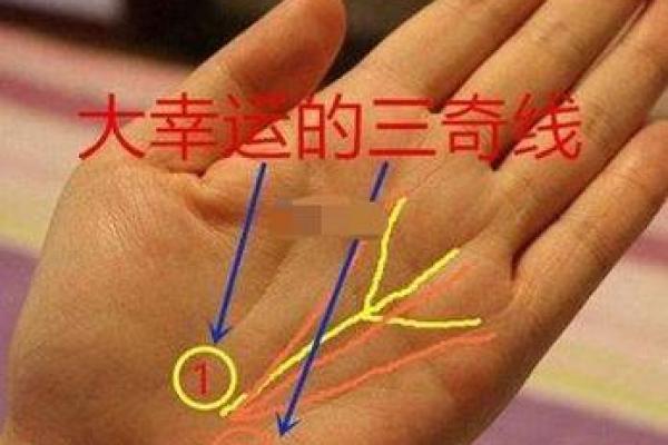 揭秘手相金星丘米字纹：财运亨通的秘密武器
