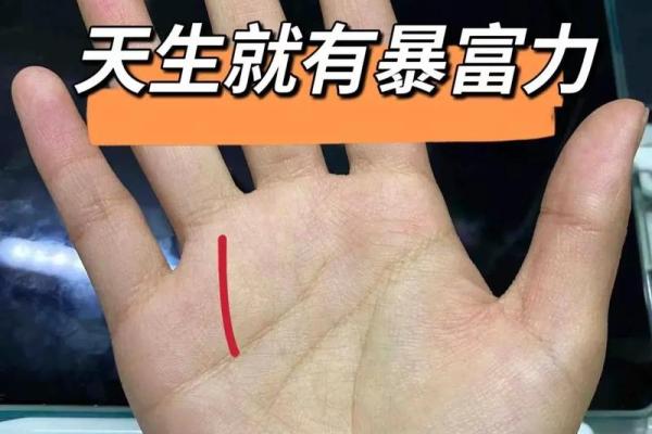 揭秘手相金星丘米字纹：财运亨通的秘密武器