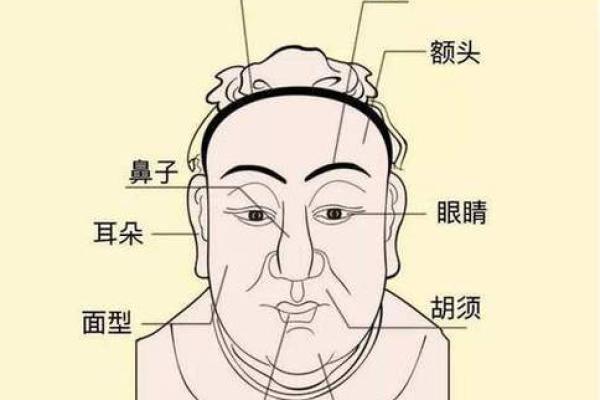 面相解码：揭秘五官布局中的财运密码