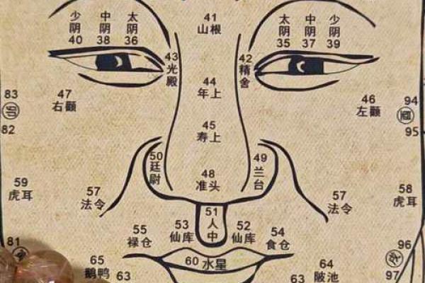 面相解码：揭秘五官布局中的财运密码