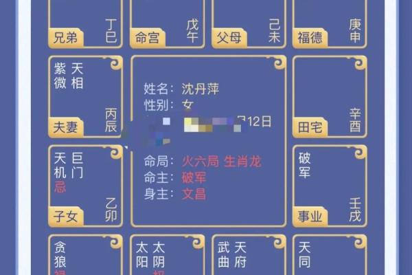 一键掌握紫微斗数排盘，免费下载精准排盘工具